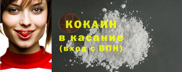 шишки Горнозаводск