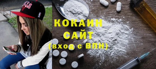 шишки Горнозаводск