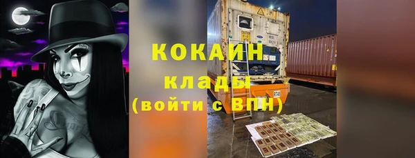 хмурый Вяземский