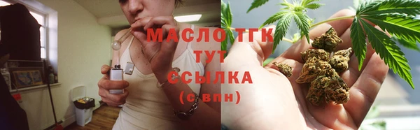 хмурый Вяземский