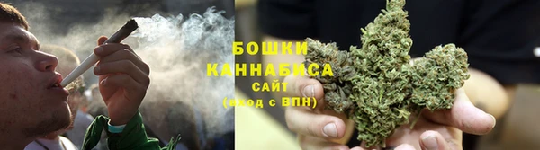 шишки Горнозаводск