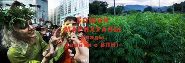 хмурый Вяземский