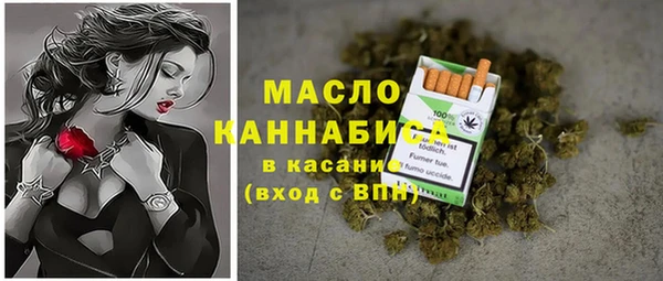 шишки Горнозаводск