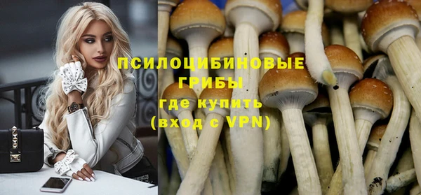 дмт Вязьма